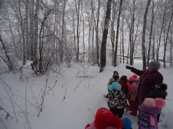 Изображение Изображение