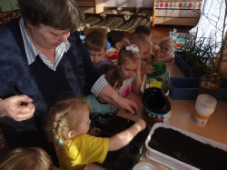 Изображение Изображение