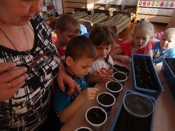 Изображение Изображение