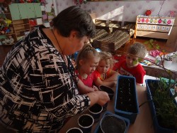 Изображение Изображение