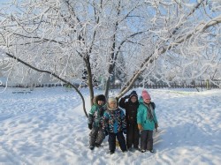 �����������