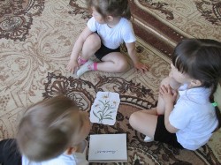 Изображение Изображение